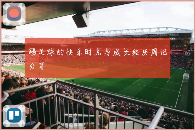 踢足球的快乐时光与成长经历周记分享