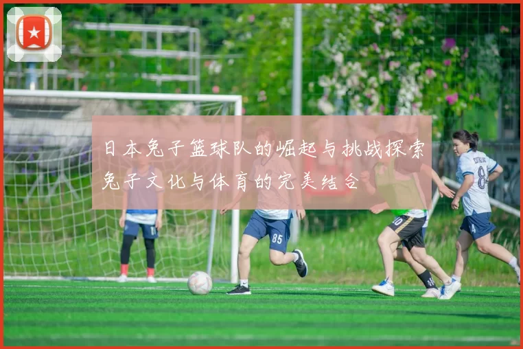 日本兔子篮球队的崛起与挑战探索兔子文化与体育的完美结合