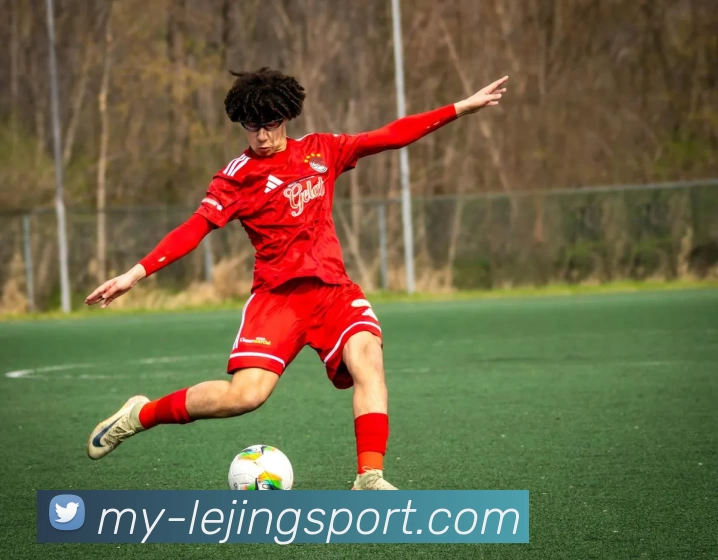 中国足球振兴之路：探讨中国足协的改革与发展策略